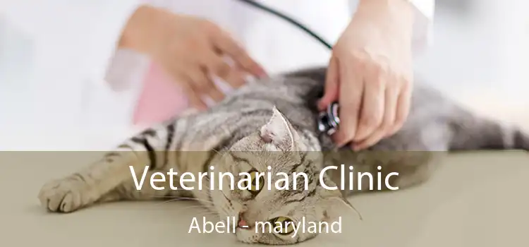 Veterinarian Clinic Abell - maryland