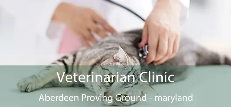 Veterinarian Clinic Aberdeen Proving Ground - maryland