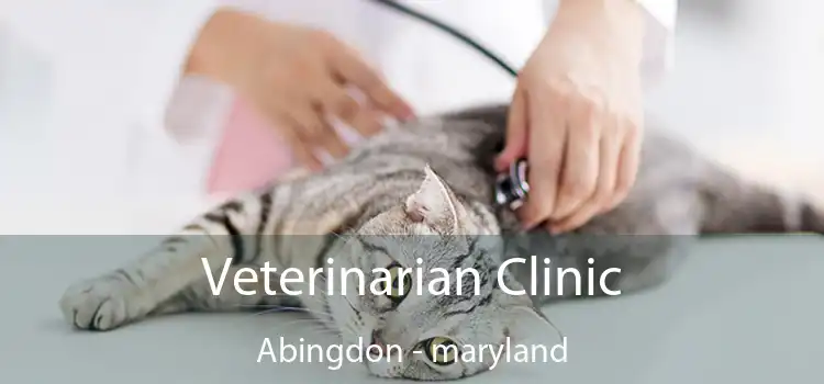 Veterinarian Clinic Abingdon - maryland