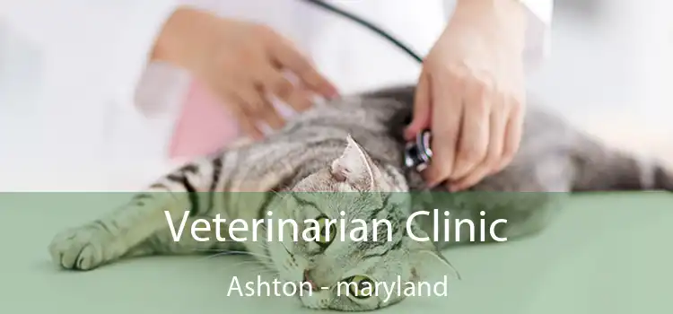 Veterinarian Clinic Ashton - maryland