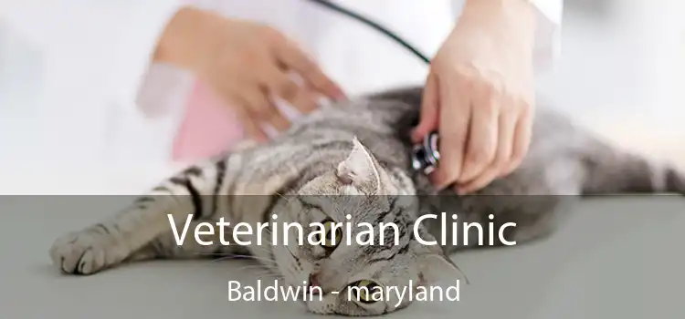 Veterinarian Clinic Baldwin - maryland