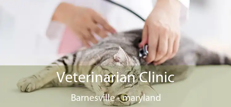 Veterinarian Clinic Barnesville - maryland