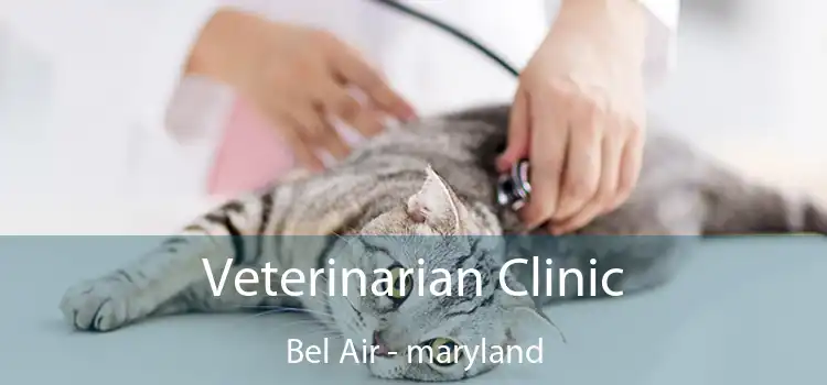 Veterinarian Clinic Bel Air - maryland