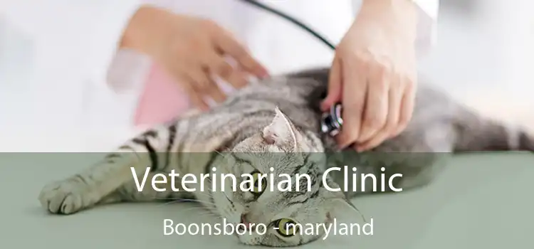 Veterinarian Clinic Boonsboro - maryland