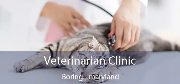 Veterinarian Clinic Boring - maryland