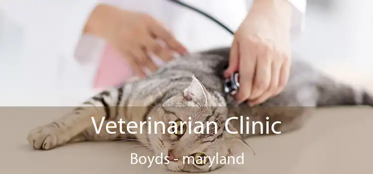 Veterinarian Clinic Boyds - maryland