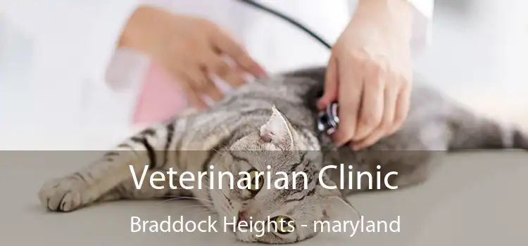 Veterinarian Clinic Braddock Heights - maryland