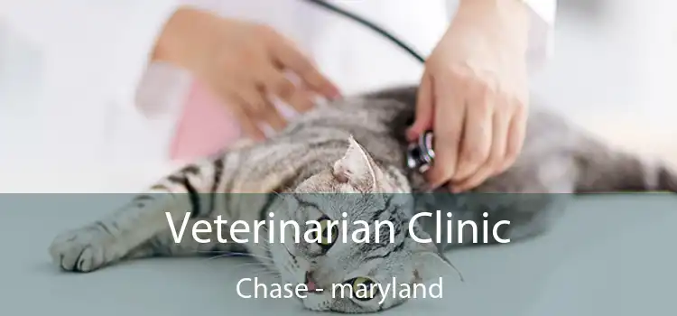 Veterinarian Clinic Chase - maryland