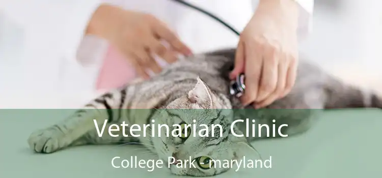 Veterinarian Clinic College Park - maryland