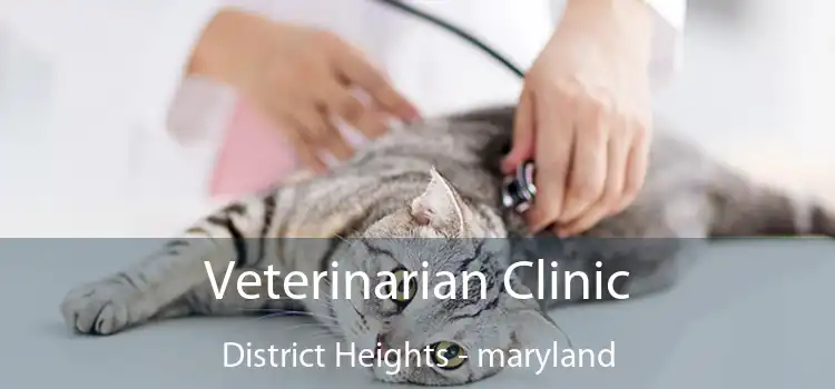 Veterinarian Clinic District Heights - maryland