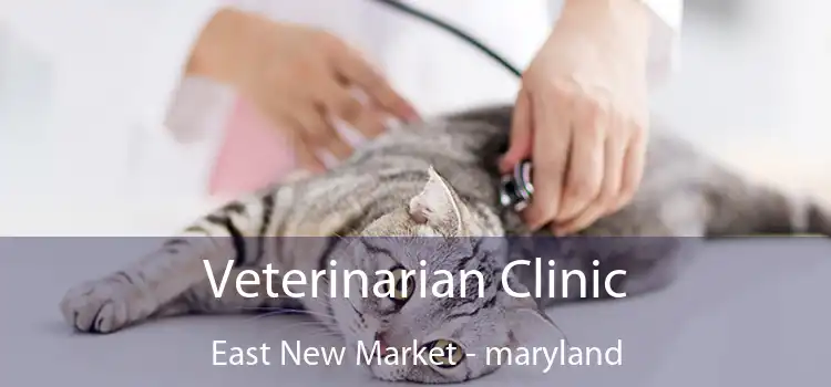 Veterinarian Clinic East New Market - maryland