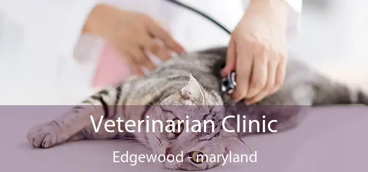 Veterinarian Clinic Edgewood - maryland