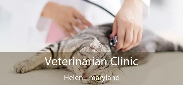 Veterinarian Clinic Helen - maryland