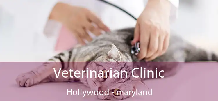 Veterinarian Clinic Hollywood - maryland