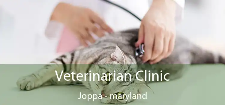 Veterinarian Clinic Joppa - maryland