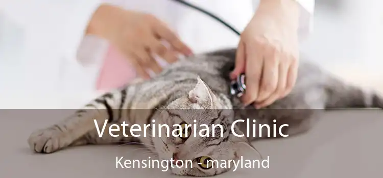 Veterinarian Clinic Kensington - maryland