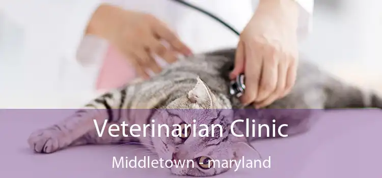 Veterinarian Clinic Middletown - maryland