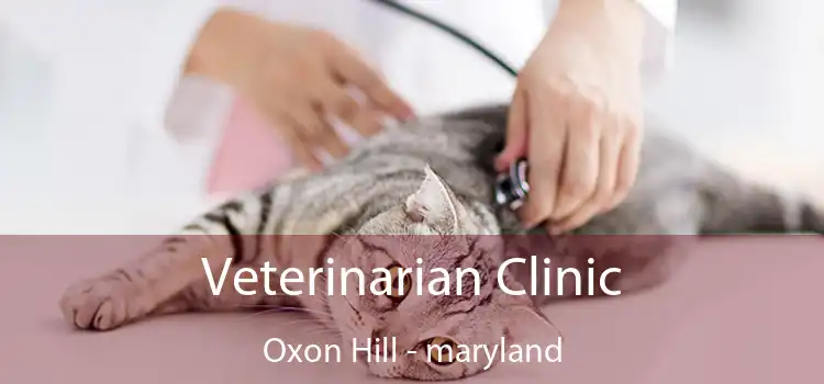 Veterinarian Clinic Oxon Hill - maryland