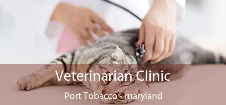 Veterinarian Clinic Port Tobacco - maryland