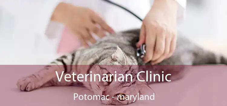 Veterinarian Clinic Potomac - maryland