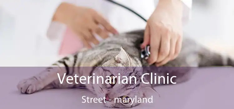 Veterinarian Clinic Street - maryland