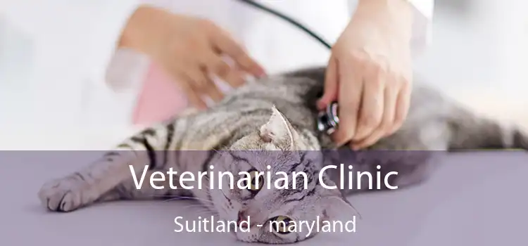 Veterinarian Clinic Suitland - maryland