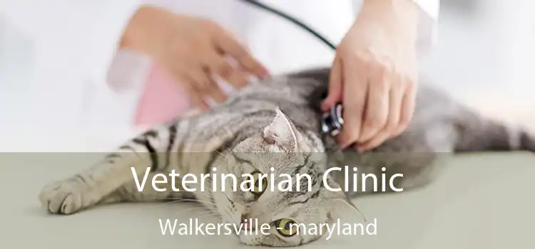 Veterinarian Clinic Walkersville - maryland