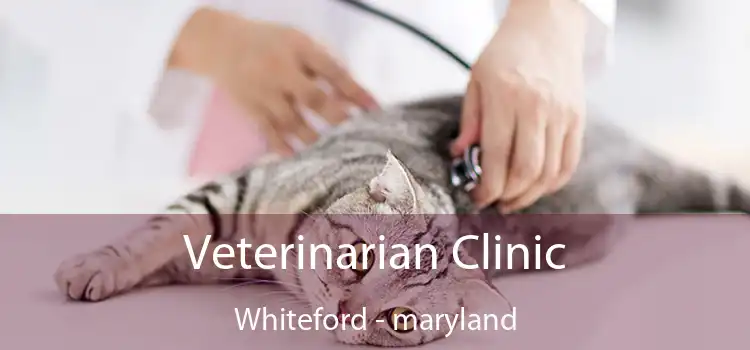 Veterinarian Clinic Whiteford - maryland